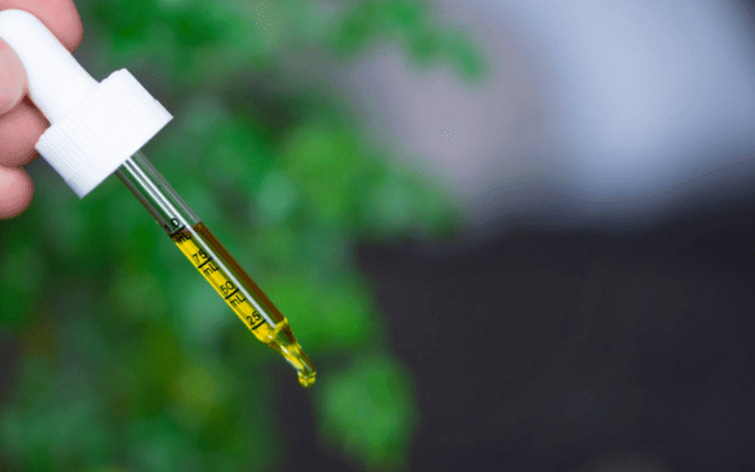 Why is CBD so popular now?