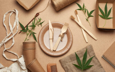 Hemp Fiber Packaging